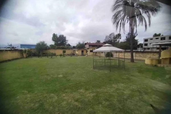 WhatsApp-Image-2026-02-12-at-11.34.50