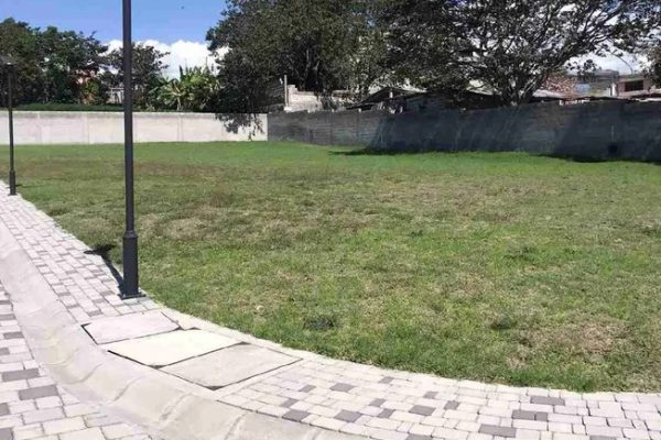 WhatsApp-Image-2026-02-13-at-12.33.09