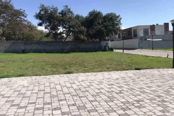 WhatsApp-Image-2026-02-13-at-12.33.35