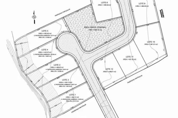 WhatsApp-Image-2026-02-13-at-12.33.47