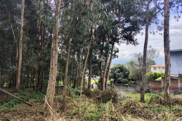 WhatsApp-Image-2026-03-10-at-11.36.16-AM-1