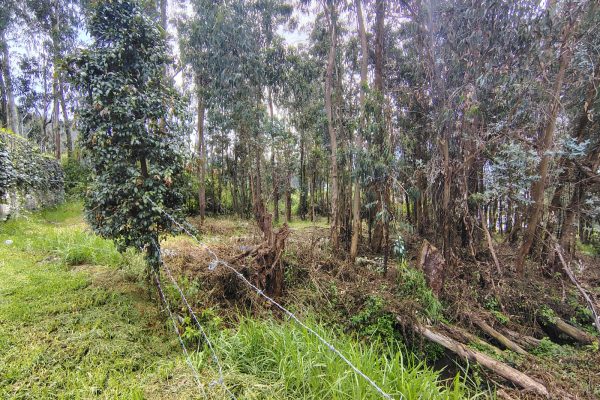 WhatsApp-Image-2026-03-10-at-11.36.17-AM-1