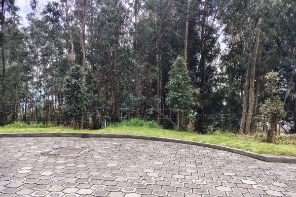 WhatsApp-Image-2026-03-10-at-11.36.17-AM