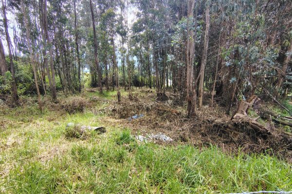 WhatsApp-Image-2026-03-10-at-11.36.18-AM-1