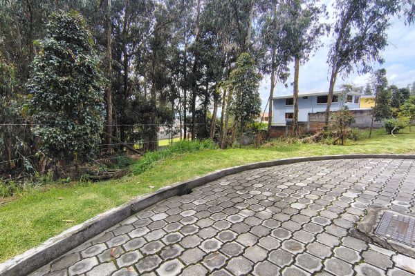 WhatsApp-Image-2026-03-10-at-11.36.18-AM-2