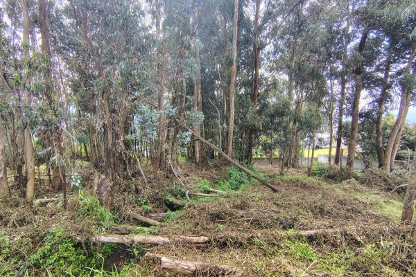 WhatsApp-Image-2026-03-10-at-11.36.18-AM-3