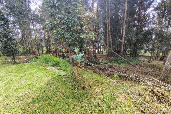 WhatsApp-Image-2026-03-10-at-11.36.18-AM