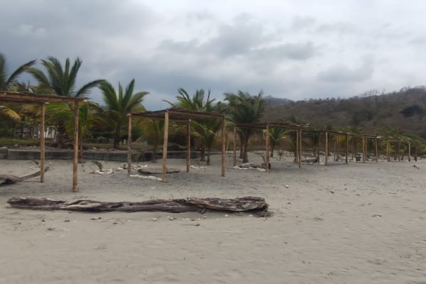 WhatsApp-Image-2026-03-10-at-2.32.00-PM