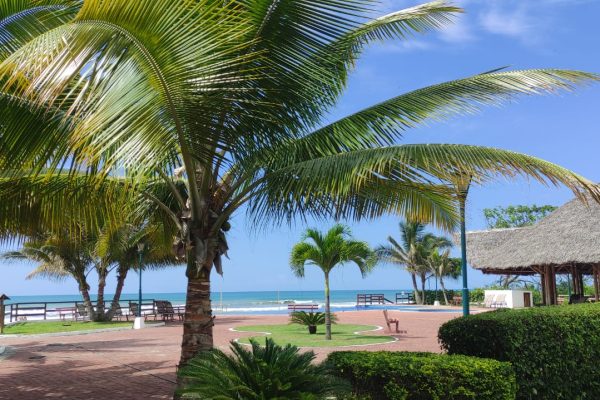 WhatsApp-Image-2026-03-10-at-2.32.02-PM-1