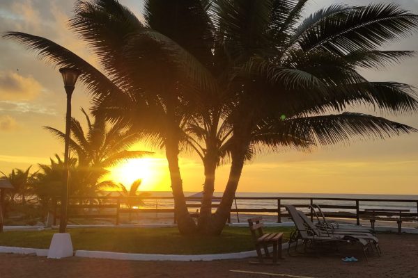 WhatsApp-Image-2026-03-10-at-2.32.02-PM