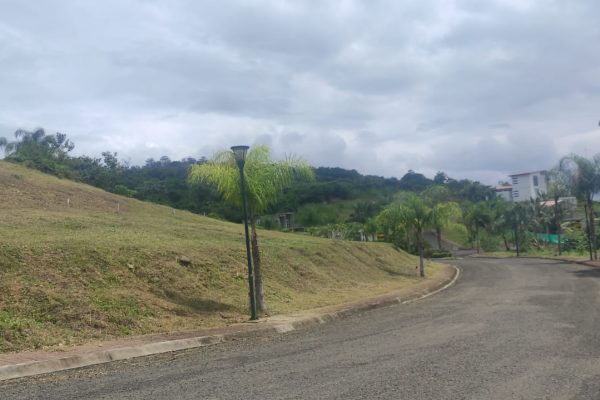 WhatsApp-Image-2026-03-10-at-2.32.03-PM-1