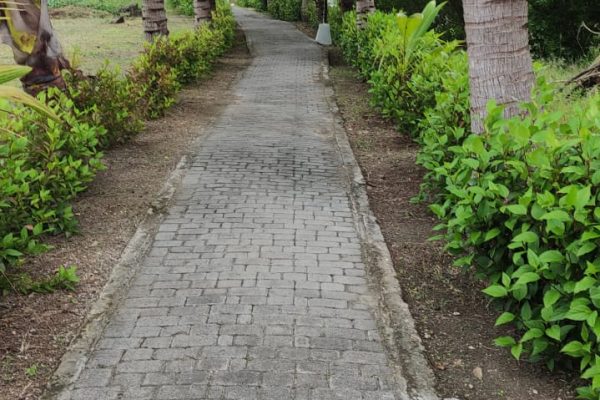 WhatsApp-Image-2026-03-10-at-2.32.03-PM-2