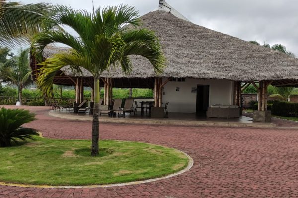 WhatsApp-Image-2026-03-10-at-2.32.03-PM-3