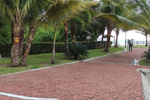 WhatsApp-Image-2026-03-10-at-2.32.03-PM-4