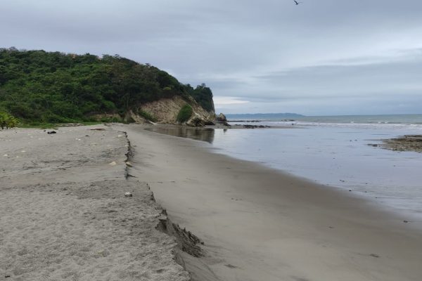 WhatsApp-Image-2026-03-10-at-2.32.03-PM