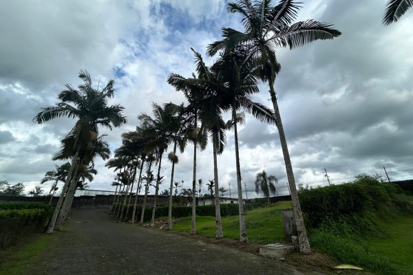 WhatsApp-Image-2026-03-11-at-11.10.01-AM-2