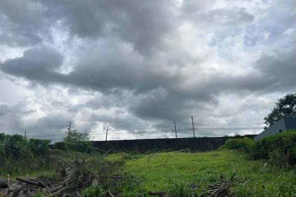 WhatsApp-Image-2026-03-11-at-11.10.02-AM