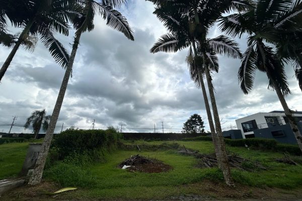 WhatsApp-Image-2026-03-11-at-11.10.04-AM-3