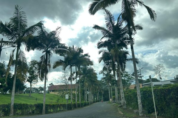 WhatsApp-Image-2026-03-11-at-11.10.05-AM-2