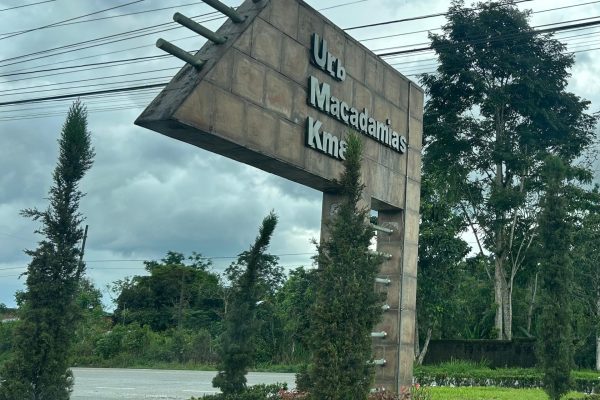 WhatsApp-Image-2026-03-11-at-11.10.05-AM-3