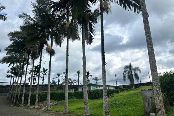 WhatsApp-Image-2026-03-11-at-11.10.05-AM