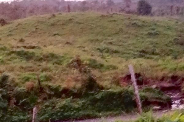 WhatsApp-Image-2026-03-23-at-10.27.01-AM-1