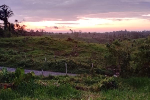 WhatsApp-Image-2026-03-23-at-10.27.01-AM-2