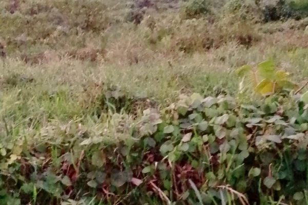 WhatsApp-Image-2026-03-23-at-10.27.01-AM