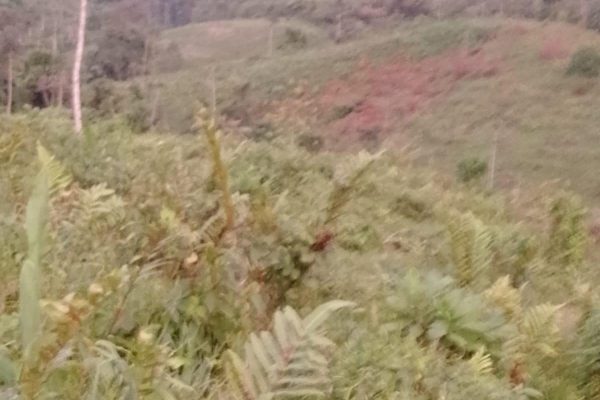 WhatsApp-Image-2026-03-23-at-10.27.02-AM-1