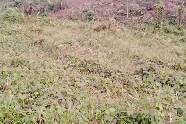 WhatsApp-Image-2026-03-23-at-10.27.02-AM-2