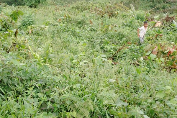 WhatsApp-Image-2026-03-23-at-10.27.02-AM-3