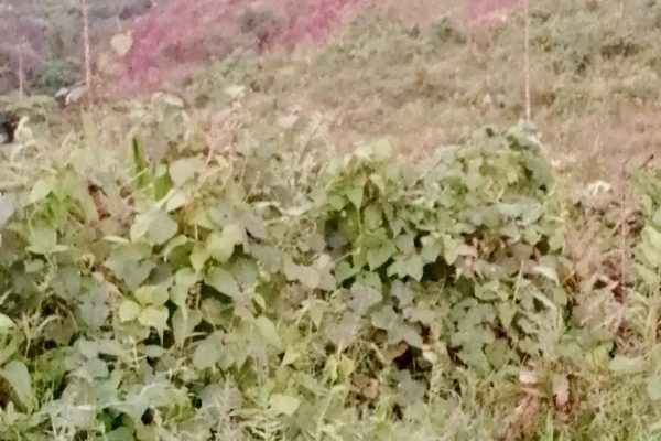 WhatsApp-Image-2026-03-23-at-10.27.02-AM