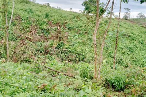 WhatsApp-Image-2026-03-23-at-10.27.03-AM-1