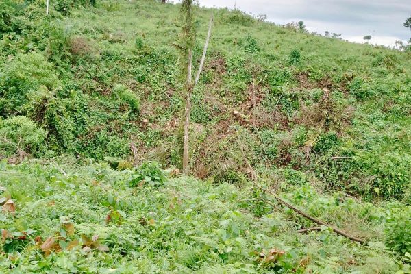 WhatsApp-Image-2026-03-23-at-10.27.03-AM-2