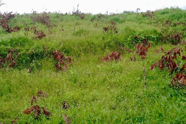 WhatsApp-Image-2026-03-23-at-10.27.03-AM