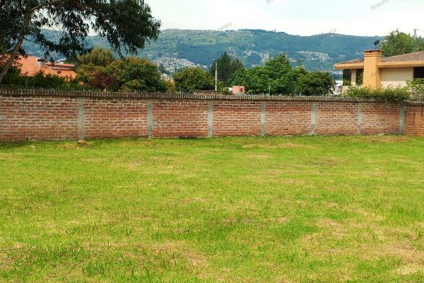 WhatsApp-Image-2026-03-25-at-14.05.35