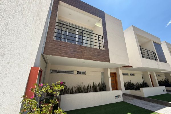 WhatsApp-Image-2026-03-25-at-16.02.58-2