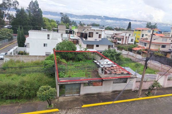 WhatsApp-Image-2026-04-13-at-11.18.20