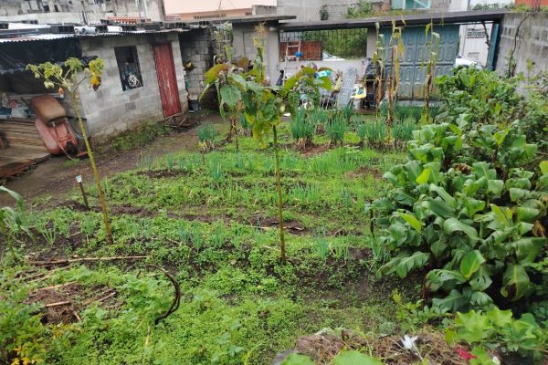 WhatsApp-Image-2026-04-13-at-11.18.56