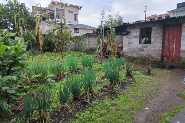 WhatsApp-Image-2026-04-13-at-11.19.34