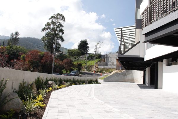 a1e12c53-c813-450b-bf65-cdc11a66fd15-1