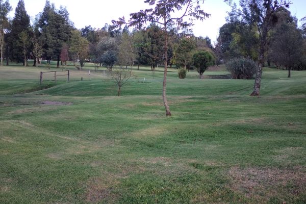 d6f9674c-27b0-445d-b08a-47c119ffa596