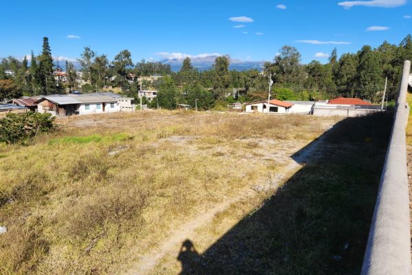 dc1d37ba-7214-4dc2-aba8-d1f714c3a78c