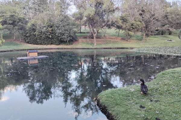 de8ebc27-0fc0-4df5-8ac1-713276da38e9