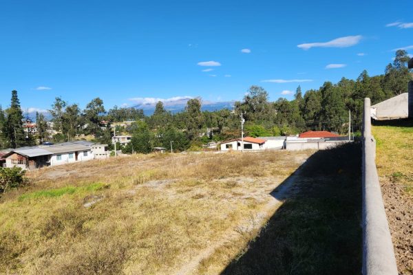 e16debe2-7b01-44b4-9e7d-b4b9a9c403a9-1