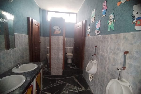 ea95474d-e3ad-4bd8-ba45-58ea1b0a7d05