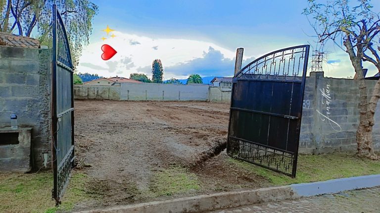 WhatsApp-Image-2026-01-13-at-06.49.52-2