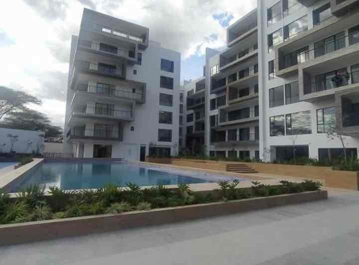 WhatsApp-Image-2026-02-12-at-10.57.29