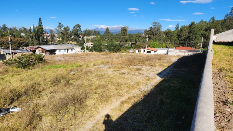 dc1d37ba-7214-4dc2-aba8-d1f714c3a78c-2