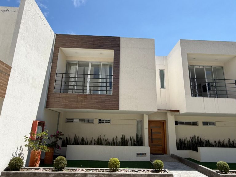 WhatsApp-Image-2026-03-25-at-16.02.58